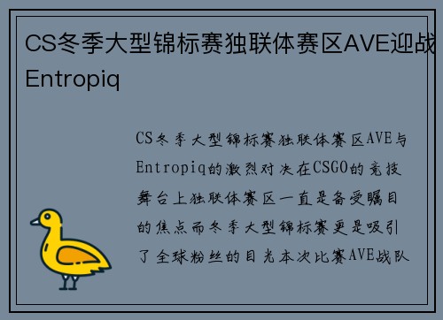 CS冬季大型锦标赛独联体赛区AVE迎战Entropiq