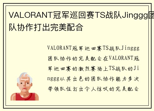 VALORANT冠军巡回赛TS战队Jinggg团队协作打出完美配合