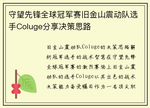 守望先锋全球冠军赛旧金山震动队选手Coluge分享决策思路